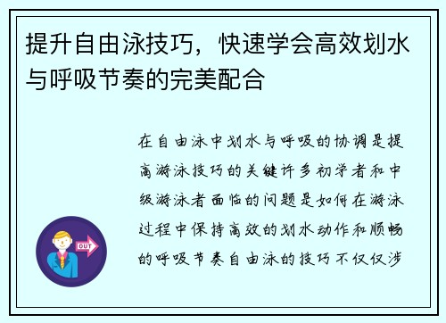 提升自由泳技巧，快速学会高效划水与呼吸节奏的完美配合